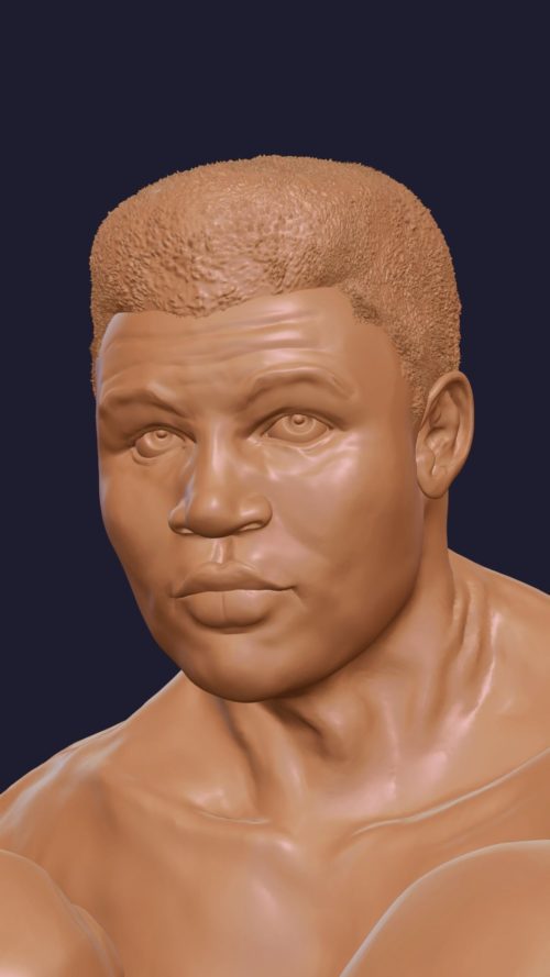 Muhammad Ali-detail