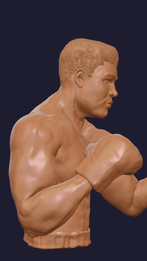 Muhammad Ali_profile