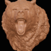grizzly bear_model
