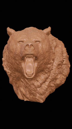grizzly bear_model