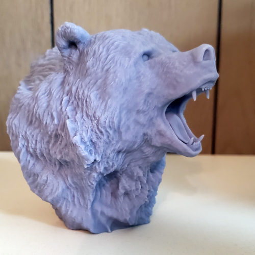 Bear 3D print_view 1