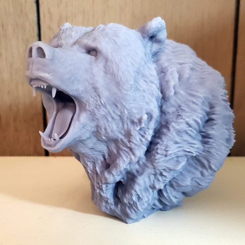 Bear 3D print_view 2