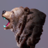 Painted Grizzly Bear-profile