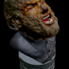 The Wolfman_ 3qtr top view