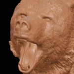 grizzly bear_model detail