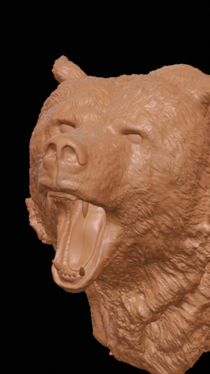 grizzly bear_model detail